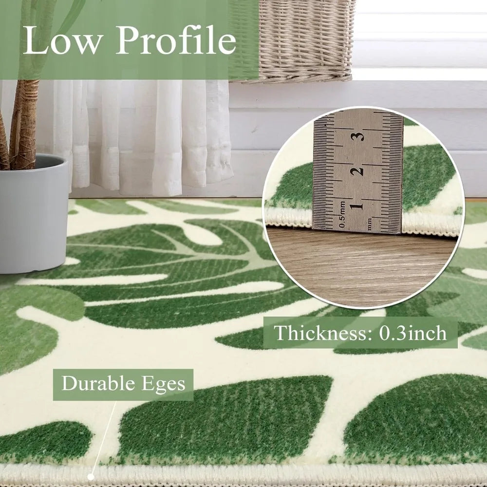 Outdoor Washable Rug, Non-Slip and Large Accent Area Carpets.