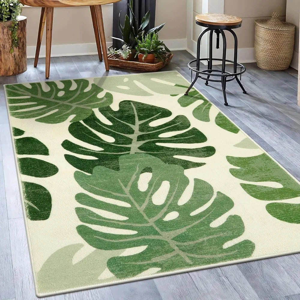 Outdoor Washable Rug, Non-Slip and Large Accent Area Carpets.